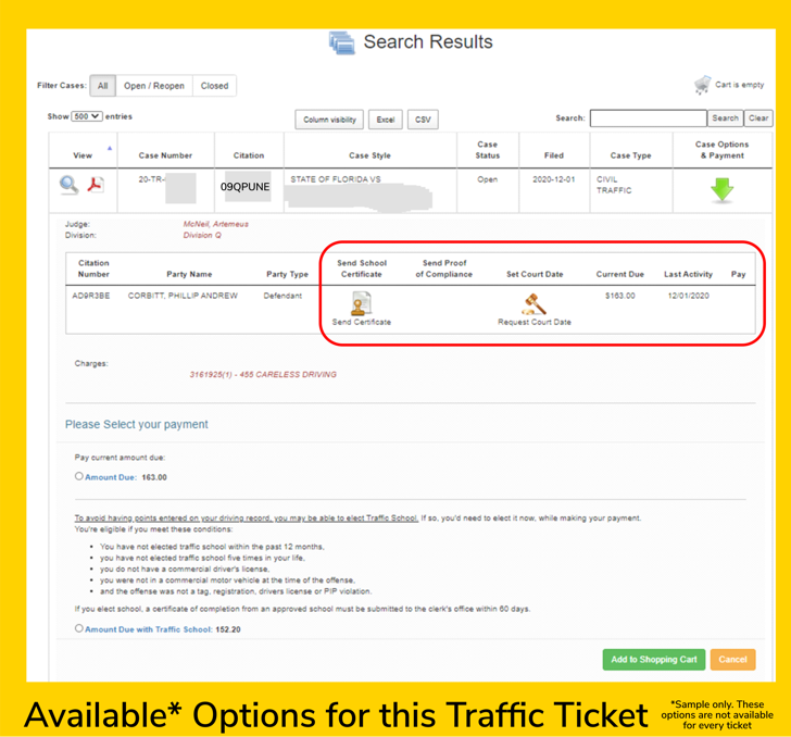 IMAGE hover traffic ticket options