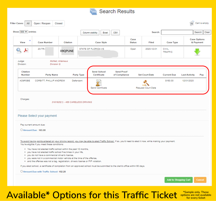 Look Up Traffic Ticket And Pay Fine Hillsborough County Clerk